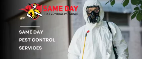 Same Day Pest Control Services